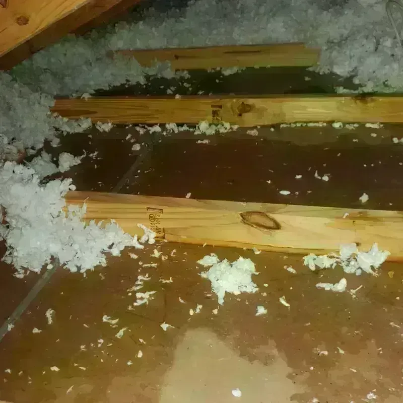 Attic Water Damage in Sandy, UT