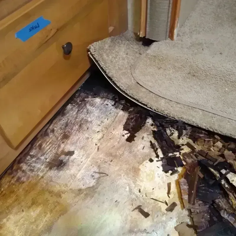 Wood Floor Water Damage in Sandy, UT